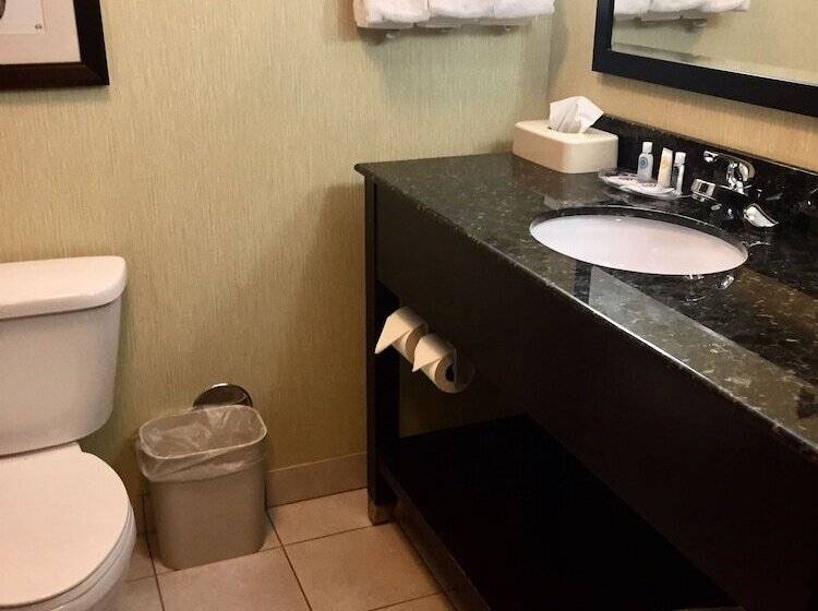 Suite, Comfort Suites Knoxville West  Farragut