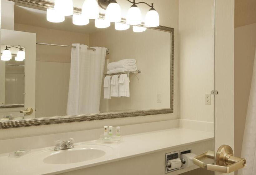 Люкс Кровать Кинг, Country Inn & Suites By Radisson, Davenport, Ia