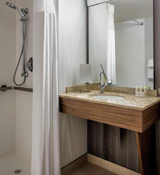 اتاق استاندارد با تخت بزرگ برای معلولان, Courtyard Grand Rapids Downtown