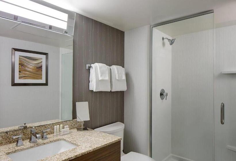 Номер Стандарт Кровать Кинг Адаптированный для Инвалидов, Courtyard Grand Rapids Downtown