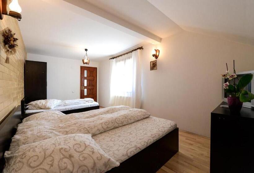 اتاق استاندارد سه نفره, Pensiunea Arina