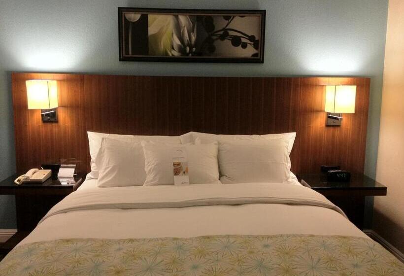 스탠다드 룸 킹사이즈 침대, Doubletree By Hilton Chatsworth