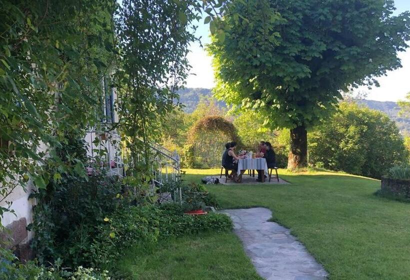 Номер Стандарт Вид на Сад, Le Figarelou