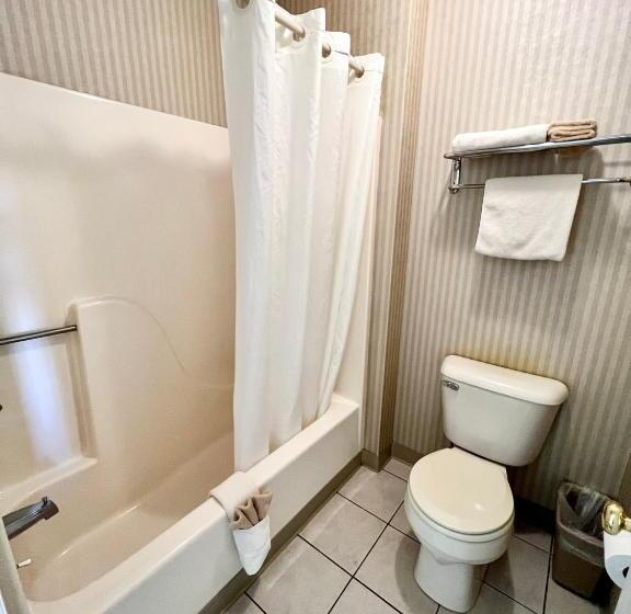 Номер Стандарт, Court Plaza Inn & Suites Of Mackinaw