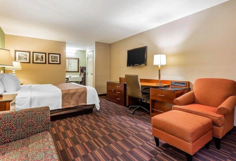 סוויטה, Quality Inn & Suites Near Robins Air Force Base