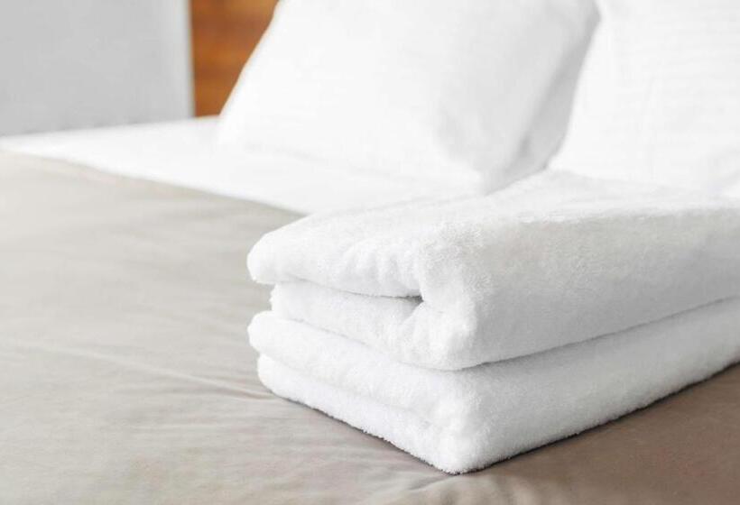 스탠다드 룸 킹사이즈 침대, Drury Inn & Suites Charlotte University Place