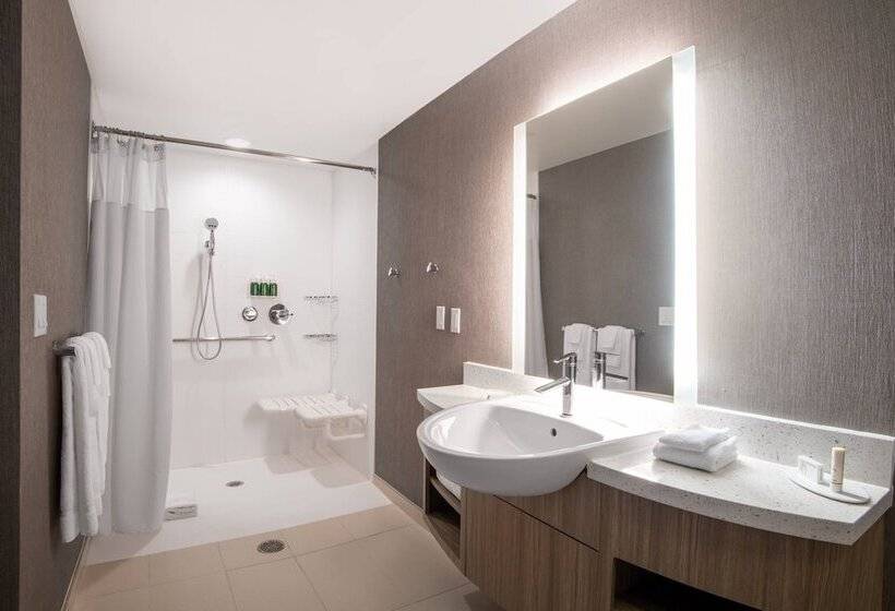 Люкс, Springhill Suites Denver Parker
