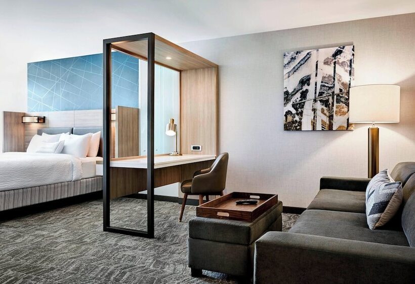 Люкс, Springhill Suites Denver Parker