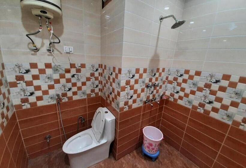 Трехместный Номер Deluxe, Abrol Residency