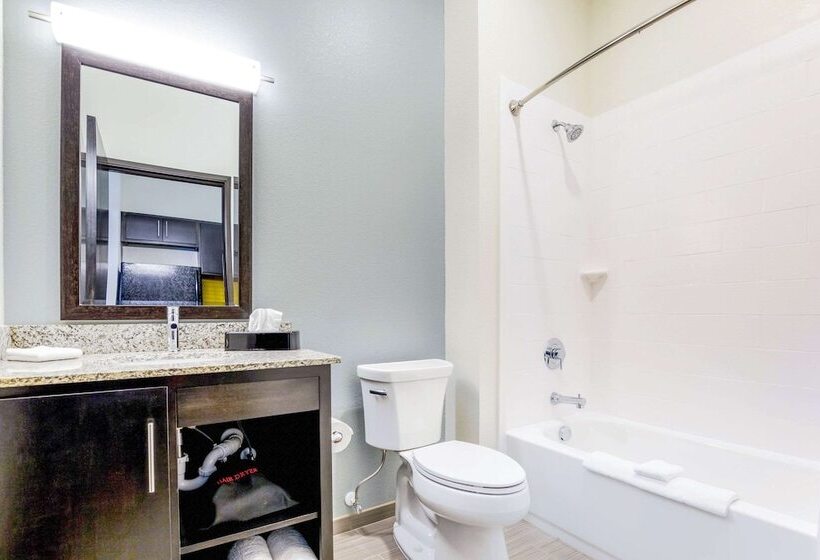 Люкс, Mainstay Suites Winfieldteays Valley