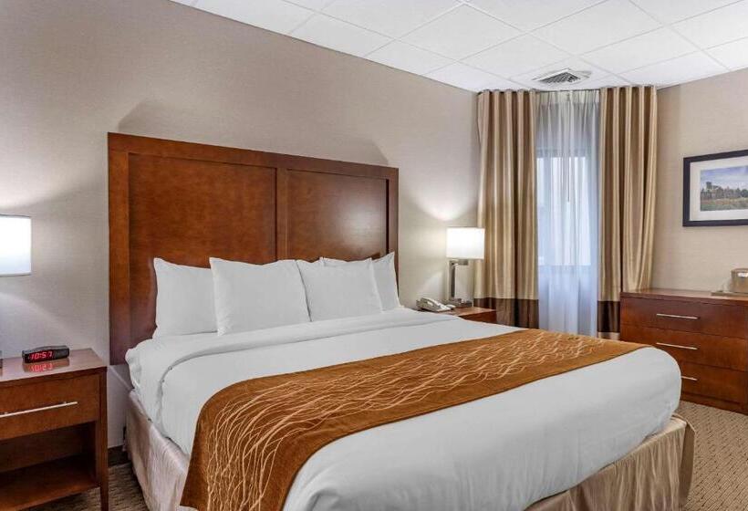 适合残疾人士使用的带超级大床的标准间, Comfort Inn Syossetlong Island