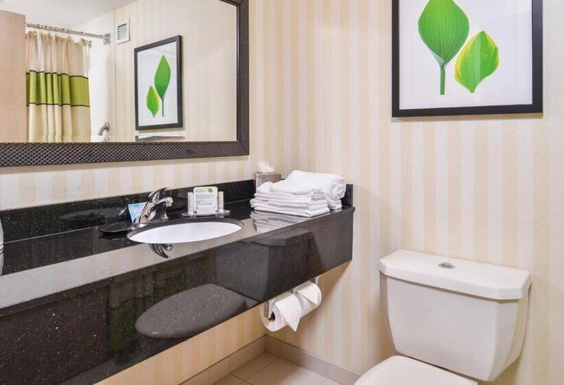 Стандартный Номер Кровать Кинг, Fairfield Inn Corning Riverside