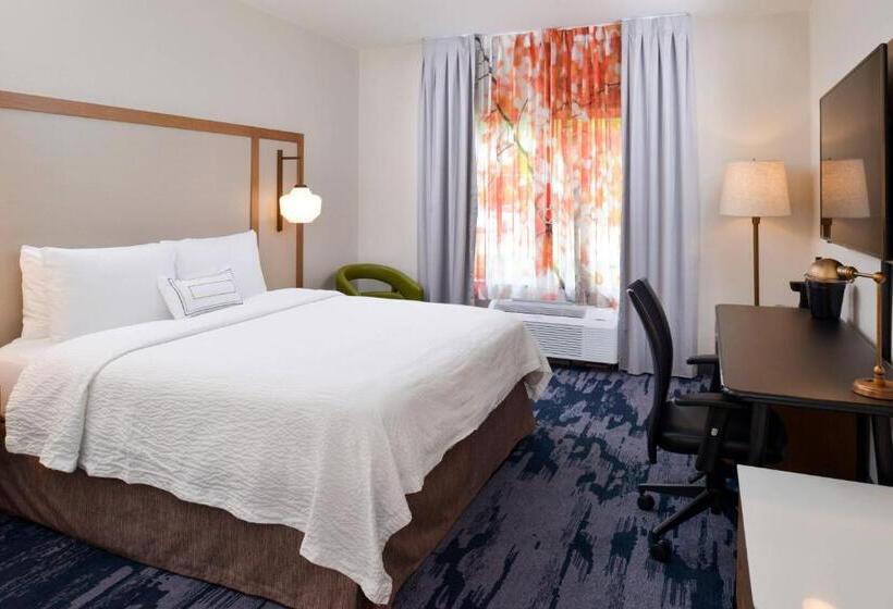 스탠다드 룸 킹사이즈 침대, Fairfield Inn Arlington Near Six Flags