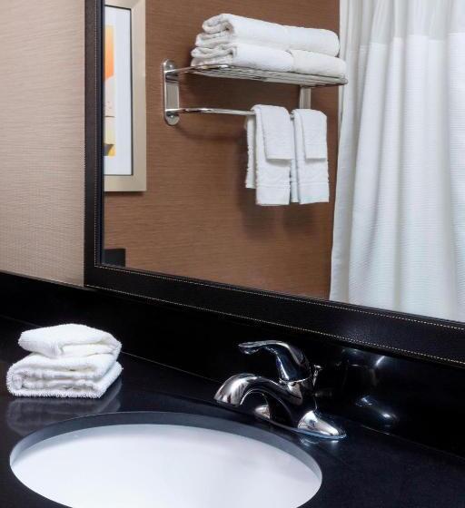 اتاق استاندارد با تخت بزرگ, Fairfield Inn & Suites By Marriott Galesburg