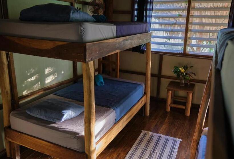 تختخواب در اتاق مشترک, Hostel Clandestino Maderas