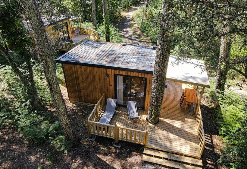 Люкс Повышенной Комфортности, Green Resort