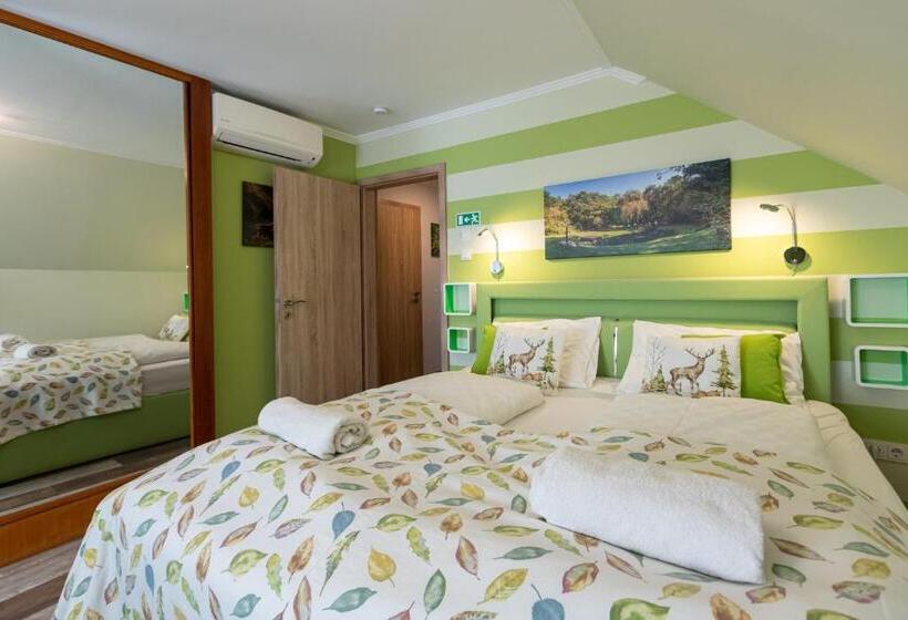 带大床的标准间, Balaton Fantasy Villa