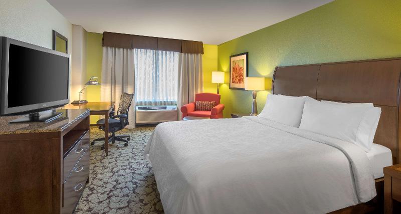 스탠다드 룸 킹사이즈 침대, Hilton Garden Inn Denver South Park Meadows Area