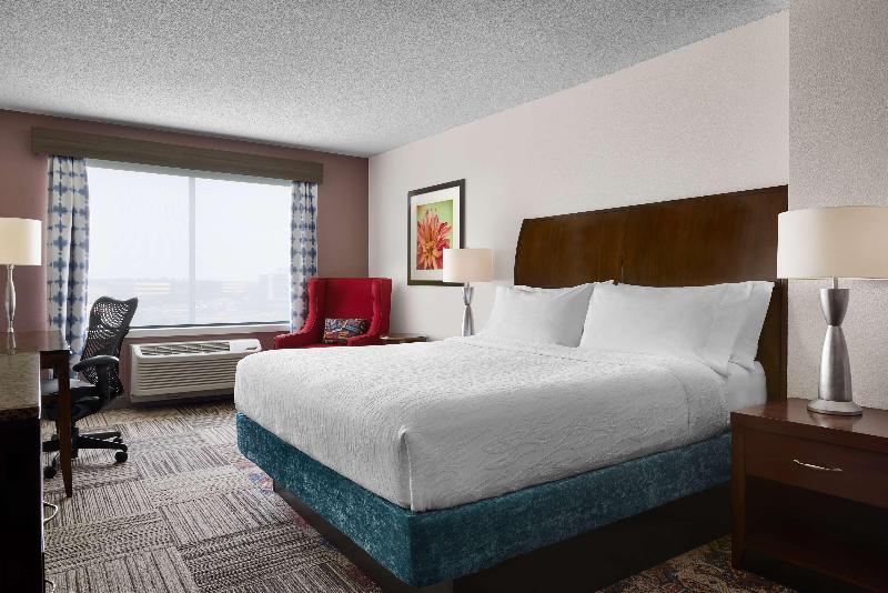 스탠다드 룸 킹사이즈 침대, Hilton Garden Inn Denver South Park Meadows Area