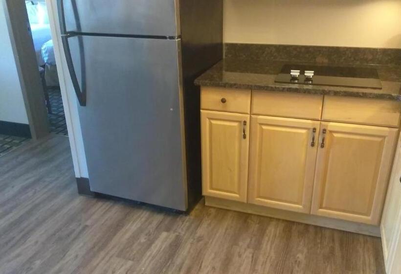스위트 킹사이즈 침대, Hawthorn Extended Stay By Wyndham Conyers