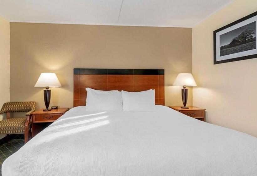 Стандартный Номер Кровать Кинг, Best Western Plus Augusta Civic Center Inn