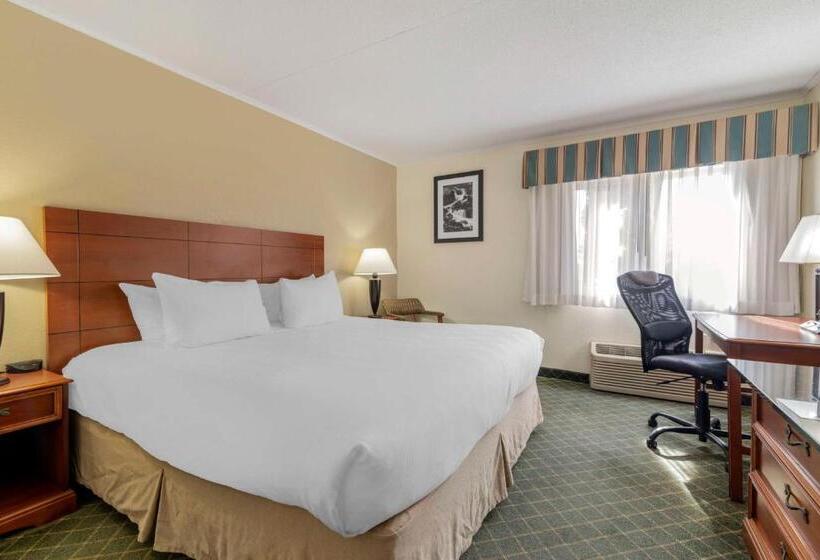 Номер Стандарт Кровать Кинг Адаптированный для Инвалидов, Best Western Plus Augusta Civic Center Inn