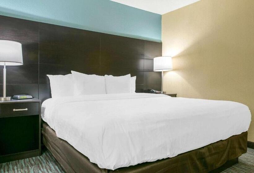 Номер Стандарт Кровать Кинг Адаптированный для Инвалидов, Quality Inn Dayton Airport