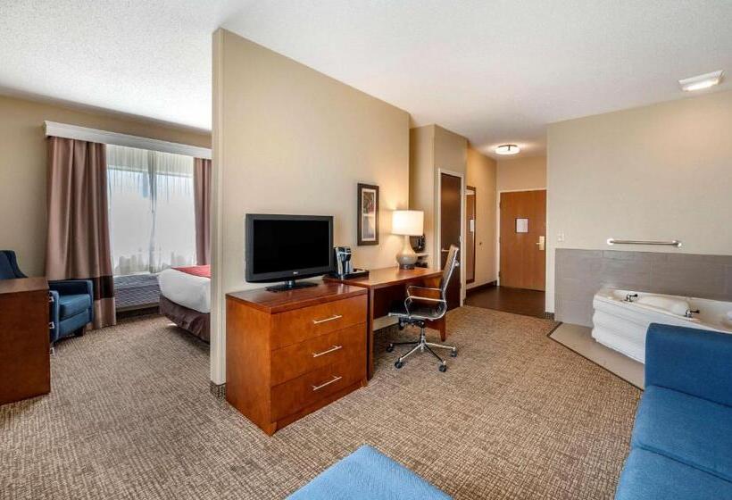 Люкс, Comfort Inn La Porte