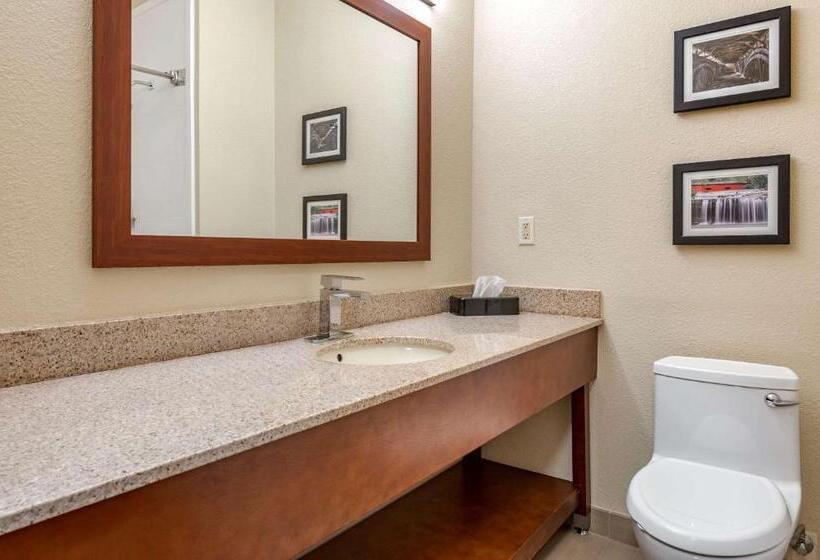 Стандартный Номер Кровать Кинг, Comfort Inn La Porte