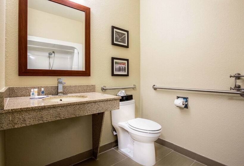 Люкс Адаптированный для Инвалидов, Comfort Inn La Porte