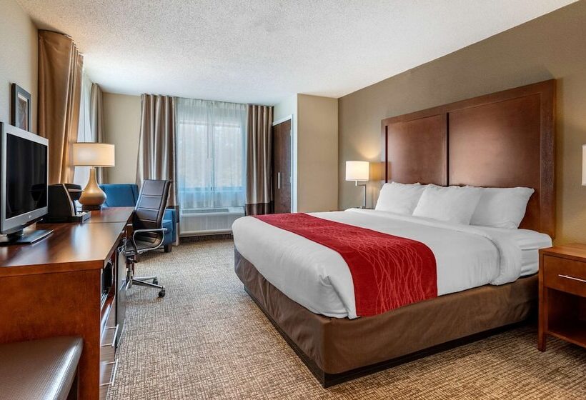 Люкс Адаптированный для Инвалидов, Comfort Inn La Porte
