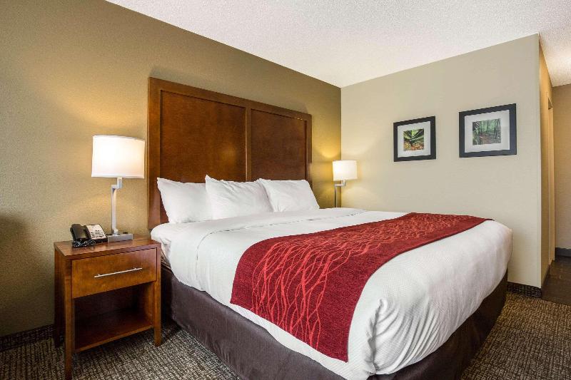Стандартный Номер Кровать Кинг, Comfort Inn La Porte