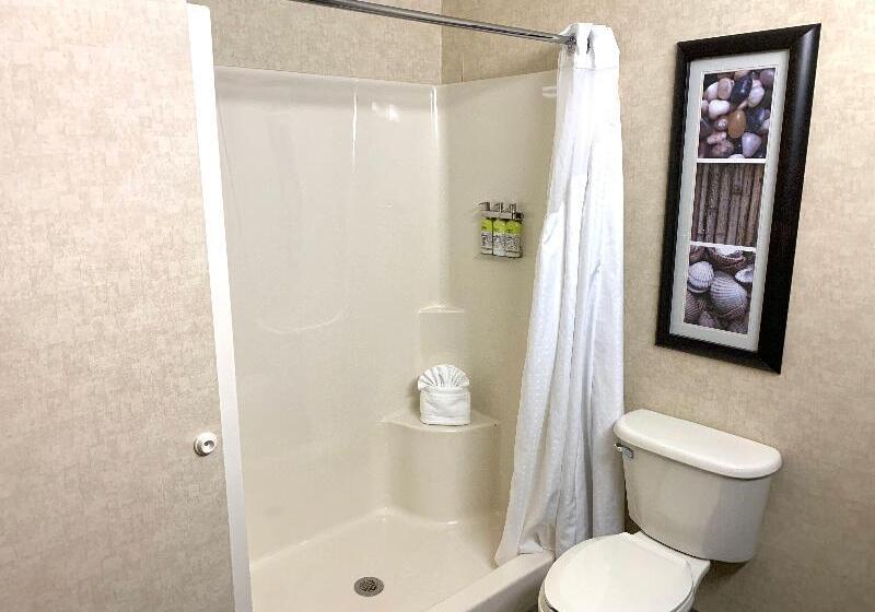 Номер Стандарт Вид на Бассейн, Holiday Inn Express Grand Rapids Southwest, An Ihg