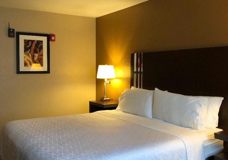 חדר סטנדרט עם מיטת קינג, Holiday Inn Express Winnemucca, An Ihg