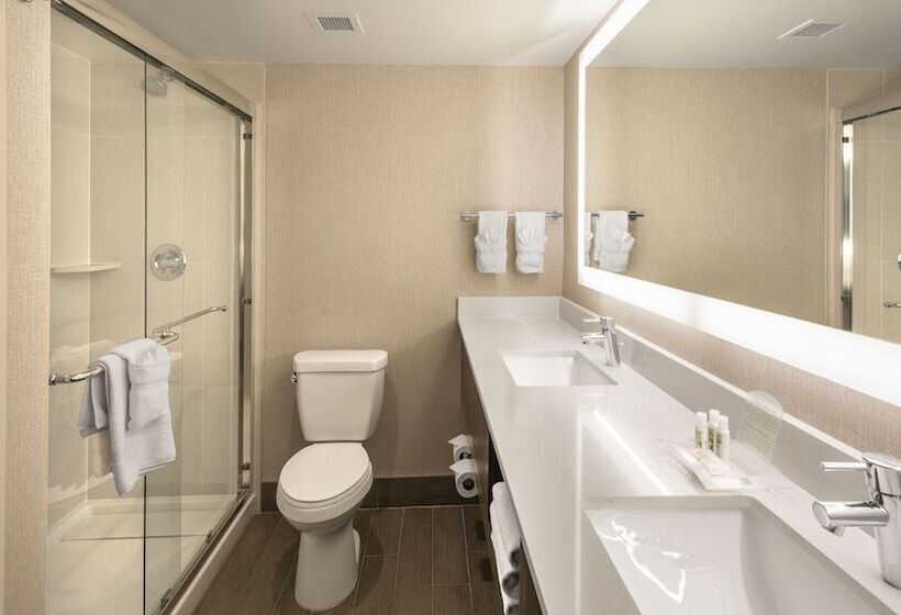 Номер Стандарт, Holiday Inn Denver Lakewood, An Ihg