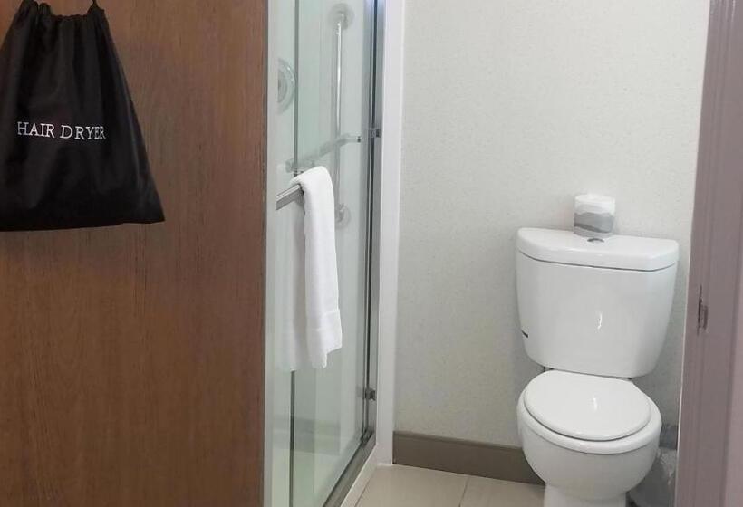 스탠다드 룸 킹사이즈 침대, Holiday Inn Express Irwin Pa Tpk Exit 67, An Ihg