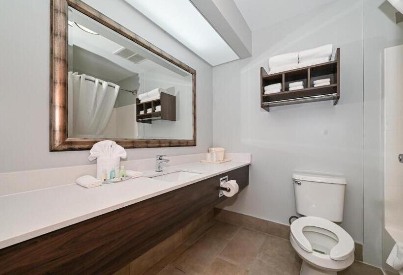 Люкс Кровать Кинг, Quality Inn & Suites Matthews   Charlotte