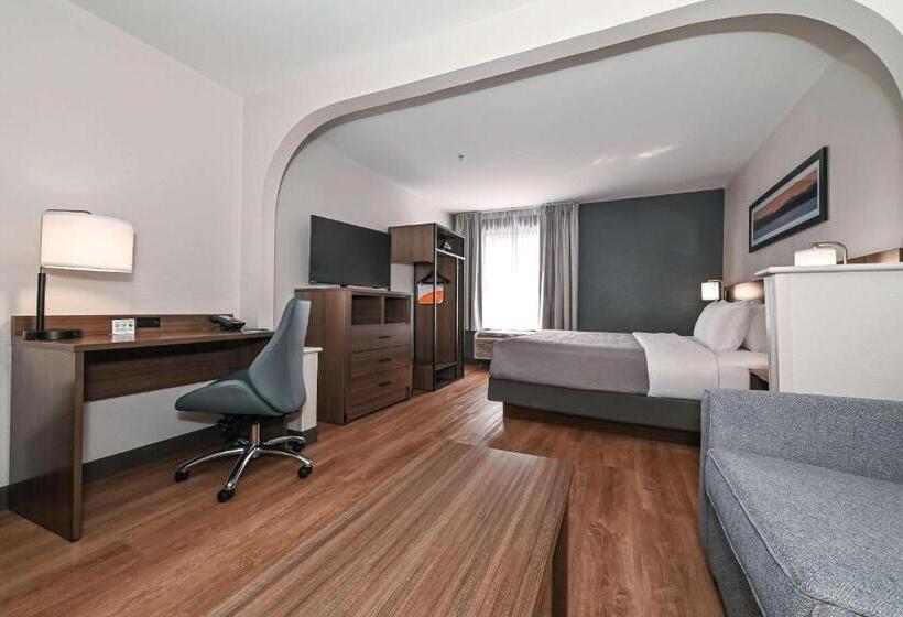 Люкс Кровать Кинг, Quality Inn & Suites Matthews   Charlotte