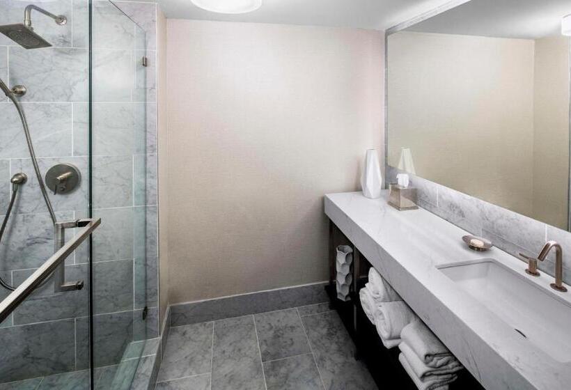 سوییت, Hyatt Regency Wichita