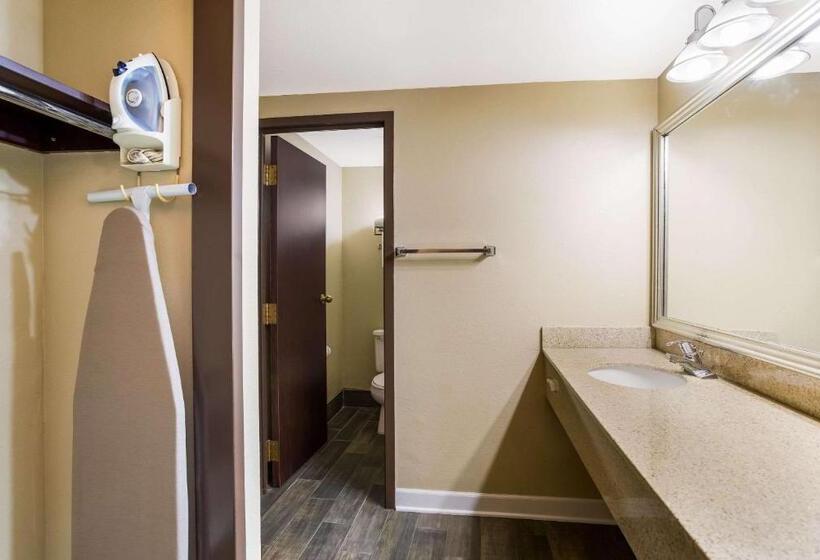 Suite Cama King, Quality Suites Milwaukee Airport