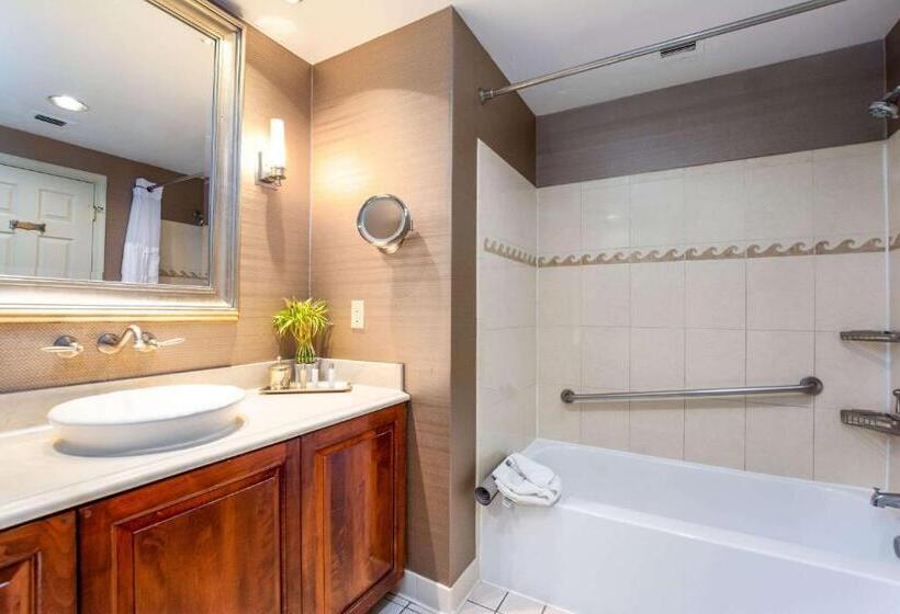 身障者適用スタンダードルーム, The Inn At Henderson S Wharf, Ascend Hotel Collection