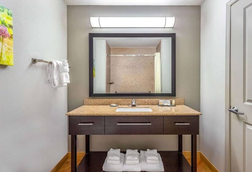 デラックススイート, La Quinta By Wyndham Columbus   Edinburgh