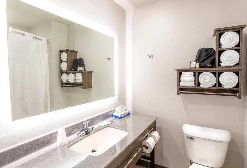 اتاق استاندارد, My Place Hotel Watertown, Sd