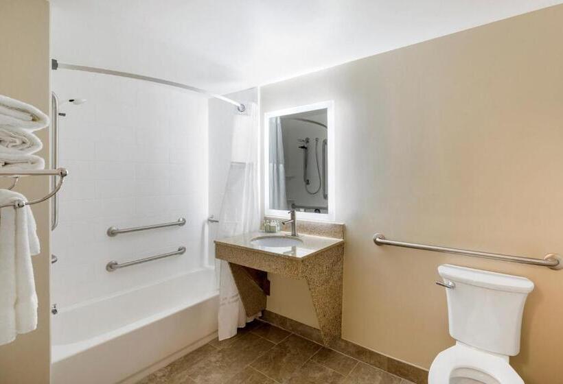 Номер Стандарт Кровать Кинг Адаптированный для Инвалидов, Country Inn & Suites By Radisson, Grandvillegrand Rapids West, Mi