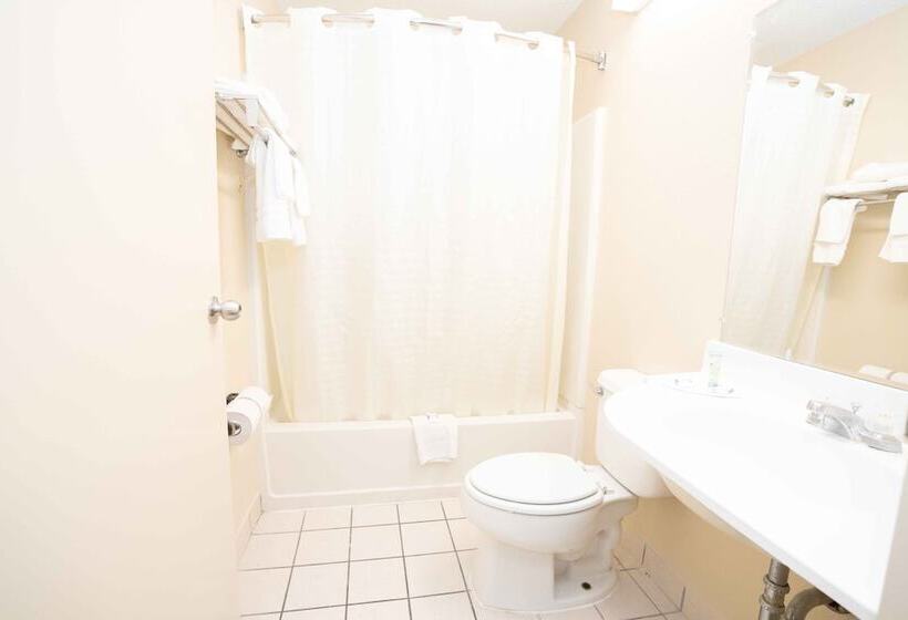 스탠다드 룸, Regency Inn & Suites Dfw