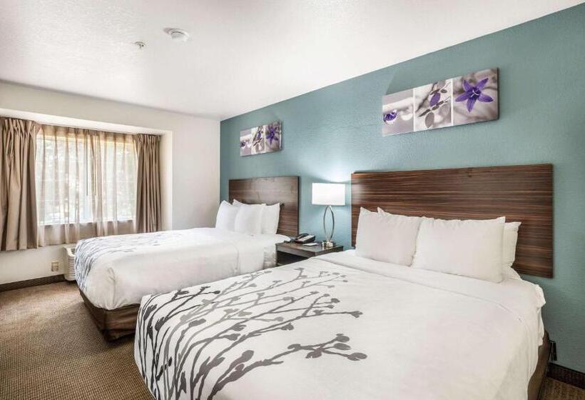 장애인을 위한 스탠다드 룸, Sleep Inn & Suites Tallahasseecapitol