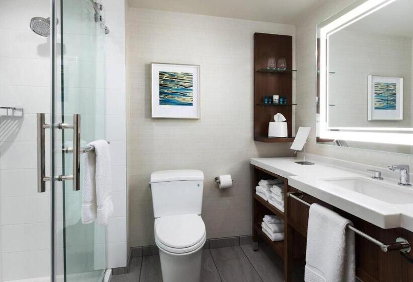 Стандартный Номер Кровать Кинг, South Sioux City Marriott Riverfront