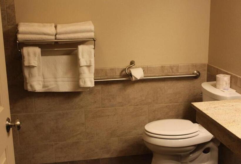 Номер Стандарт Кровать Квин Адаптированный для Инвалидов, Best Western Plus Concord Inn