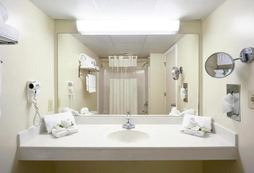 اتاق استاندارد با چشم‌انداز شهر, Paradise Plaza Inn