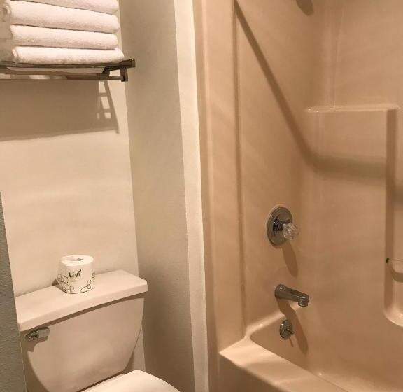 Номер Стандарт, Dutch Country Inn